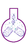 MSC Medicinal Chemistry & Chemical Biology